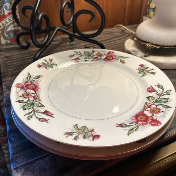 Vintage Montana Rose Monarch dinner plates set of 3, cottage